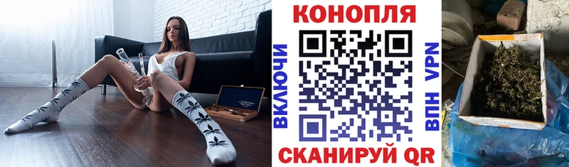 Виды наркоты Талдом Галлюциногенные грибы КОКАИН Гашиш МЕФ Каннабис
