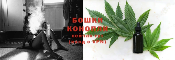 трава Магас