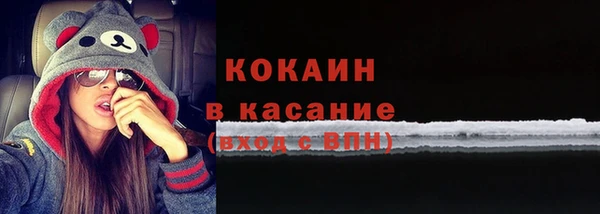 молекула духа Медвежьегорск