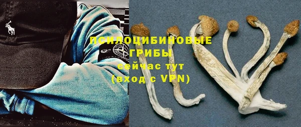 трава Магас