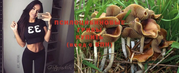 винт Мегион
