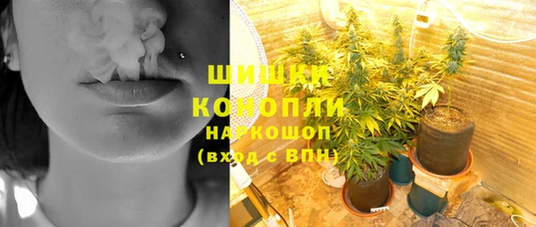 молекула духа Медвежьегорск